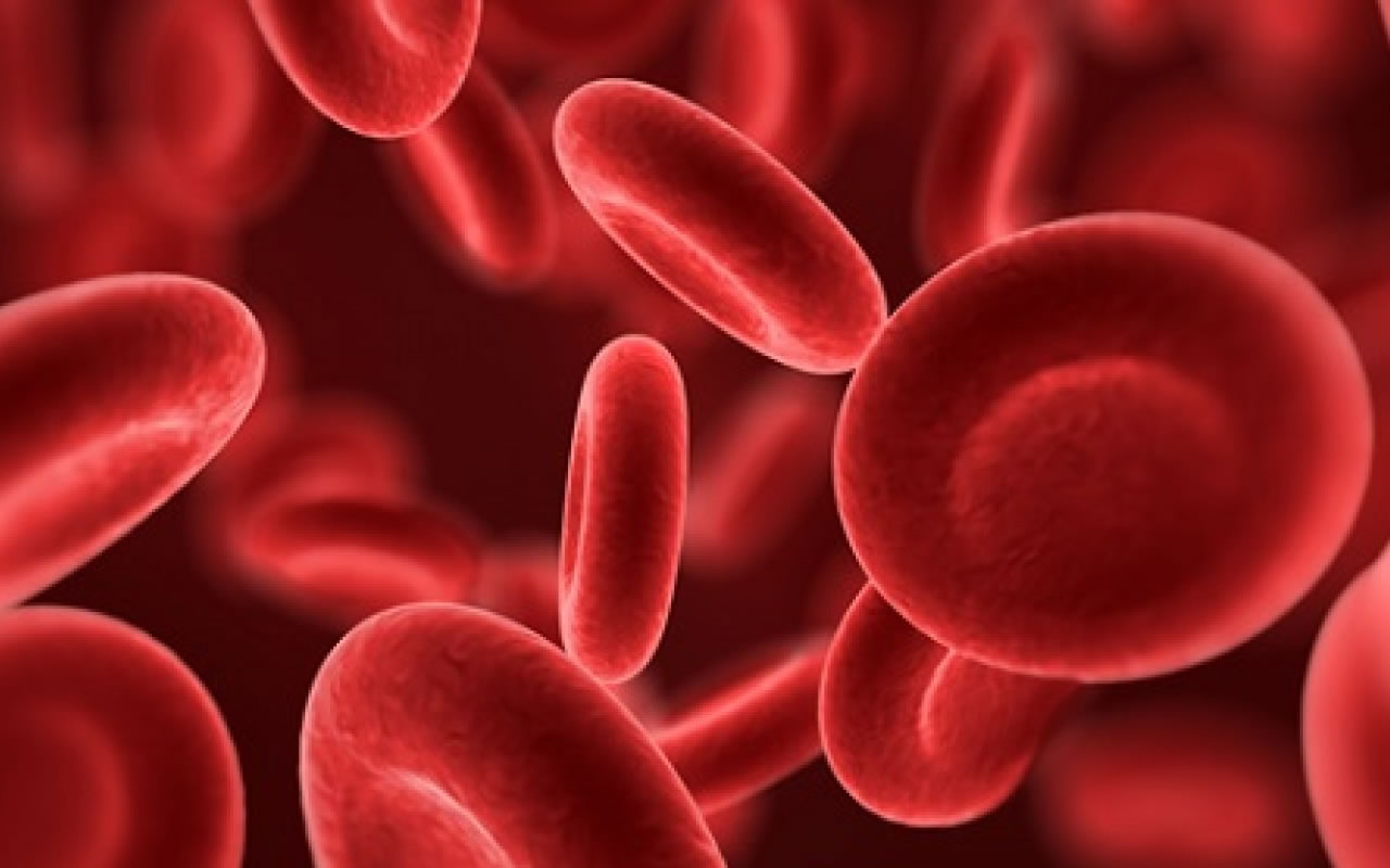 servicios-01-1280x800