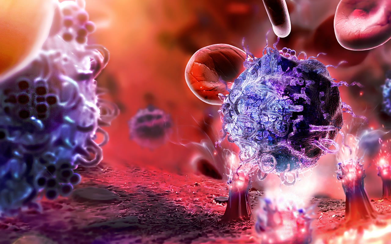 servicios-03-1280x800