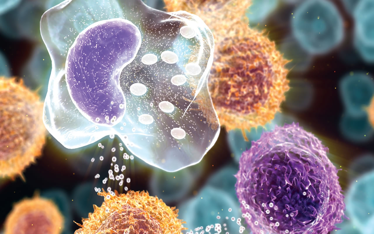 servicios-05-1280x800