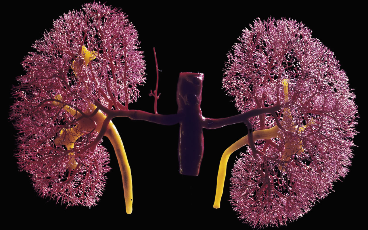 servicios-06-1280x800