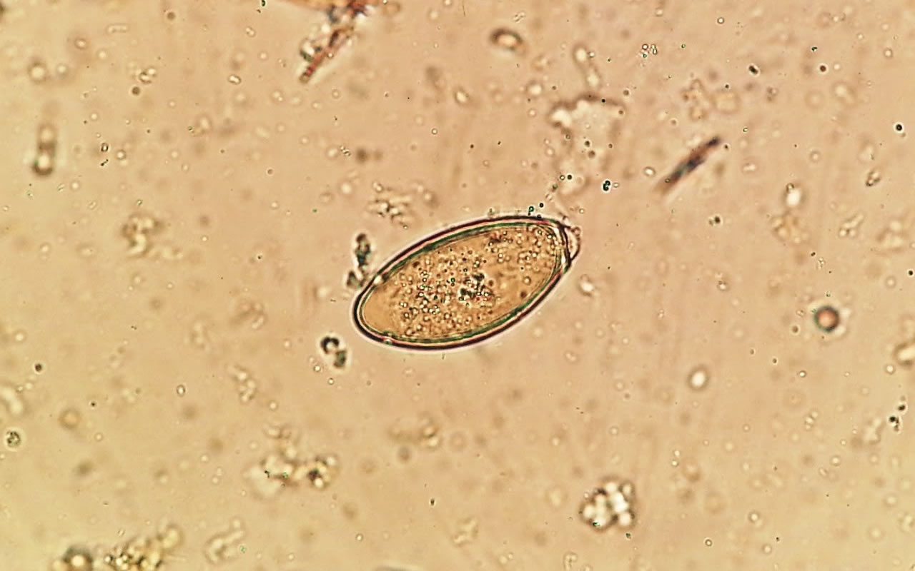 servicios-07-1280x800