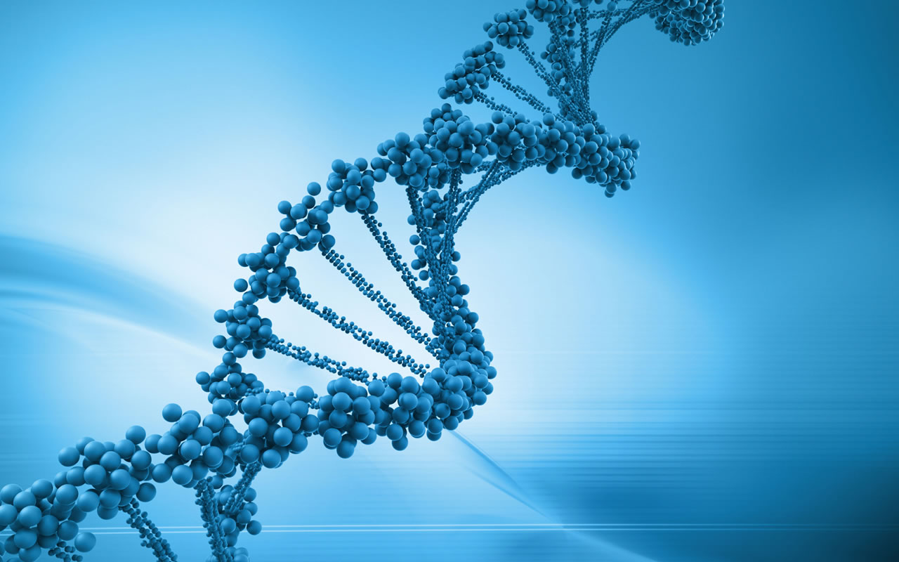 servicios-08-1280x800