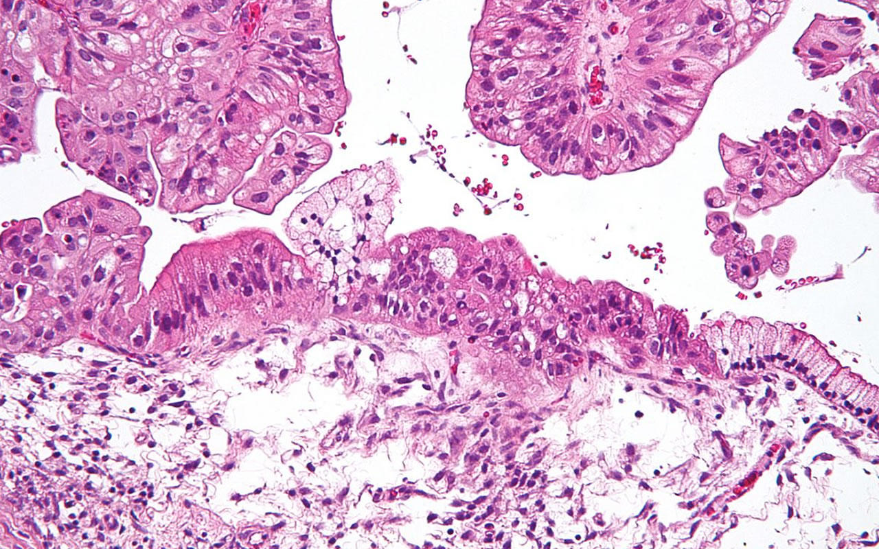 servicios-09-1280x800